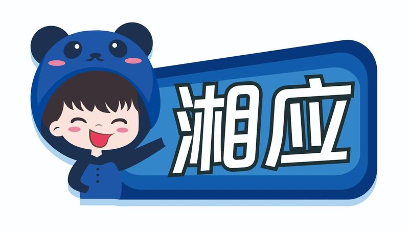 网络维护与系统集成：本质差异与关键点